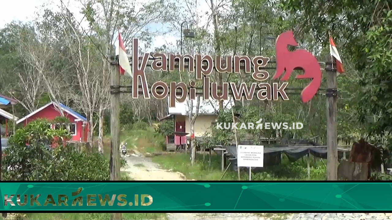 Desa Perangat Baru Sebagai Pusat Pengembangan Biji Kopi di Kukar