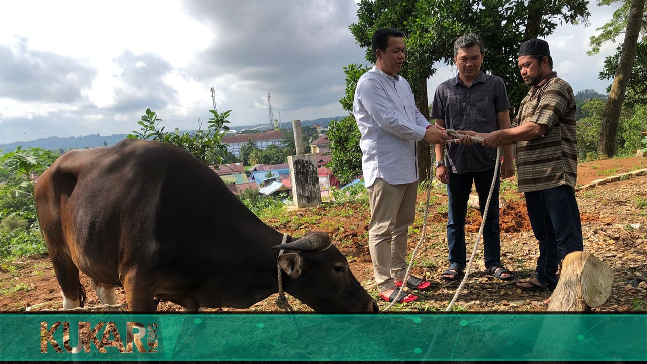 Bupati Kukar Serahkan Sapi ke Insan Pers Kutai Kartanegara
