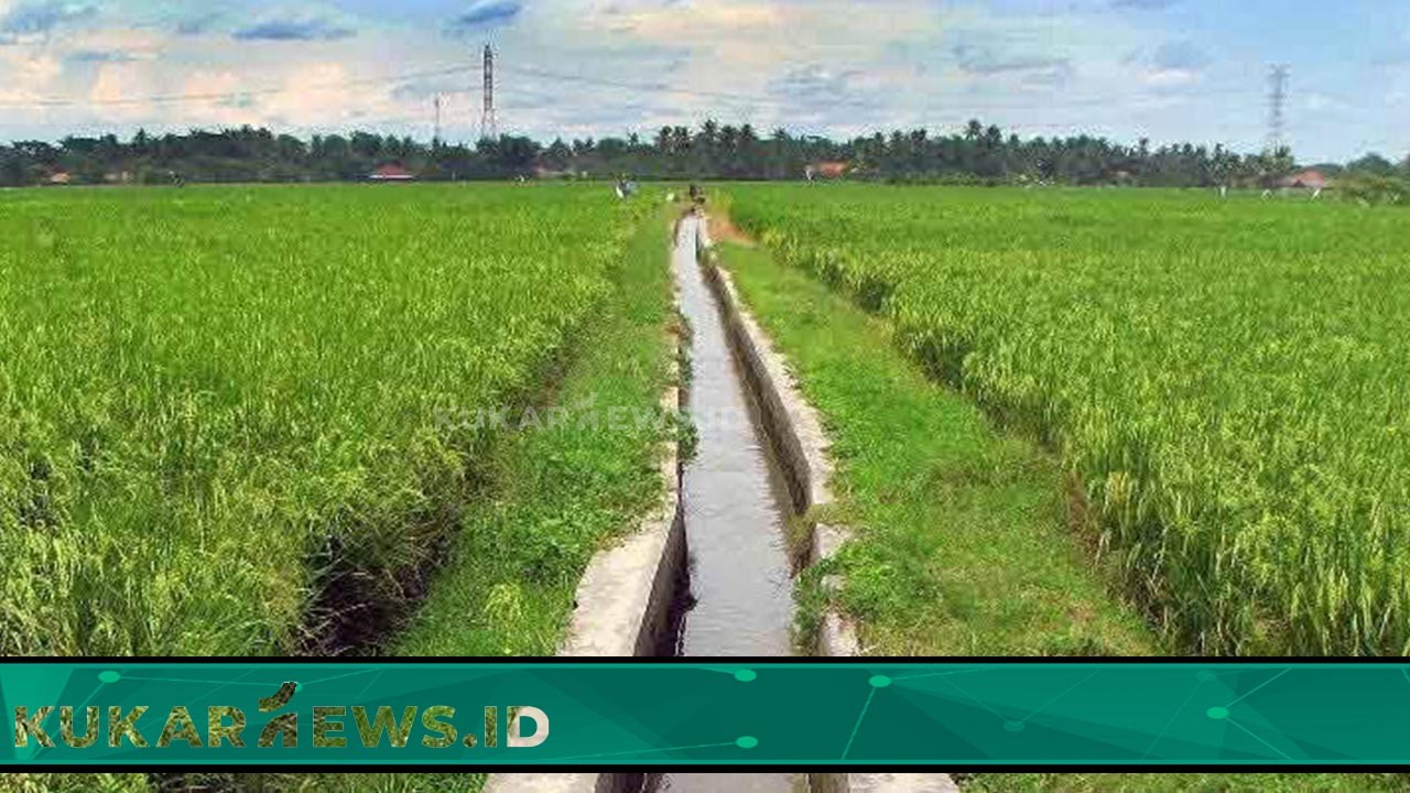 Dinas PU Kukar Bakal Tuntaskan Permasalahan Jaringan Irigasi Primer