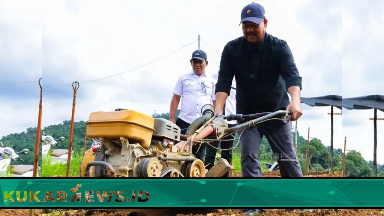 Maksimalkan Peran Petani Milenial dan Mekanisasi Pertanian