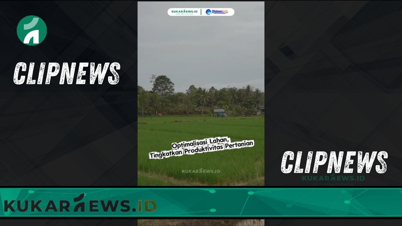 Optimalisasi Lahan, Tingkatkan Produktivitas Pertanian - Clipnews