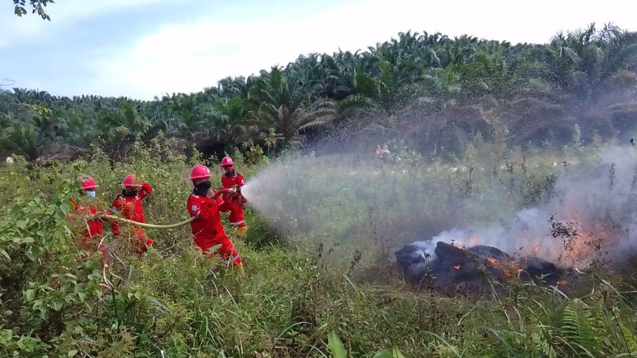 PT SKP-CNL Gelar Simulasi Pencegahan Karhutla