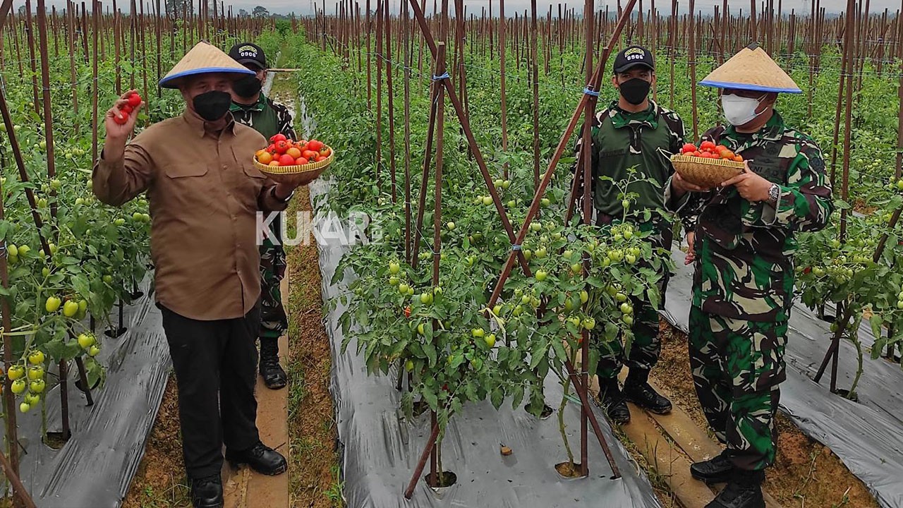 Pemkab Kukar Kucurkan Dana Rp 39 Miliar, Bangun Infrastuktur Kawasan Pertanian Terpadu