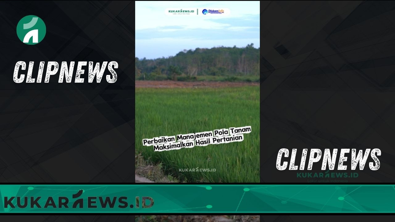 Perbaikan Manajemen Pola Tanam Maksimalkan Hasil Pertanian -Clipnews