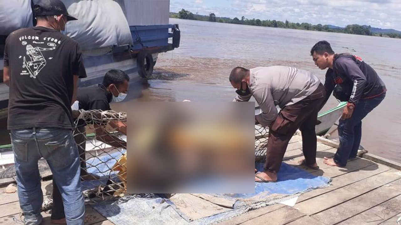Wanita Penuh Baya Ditemukan Mengapung di Sungai Mahakam